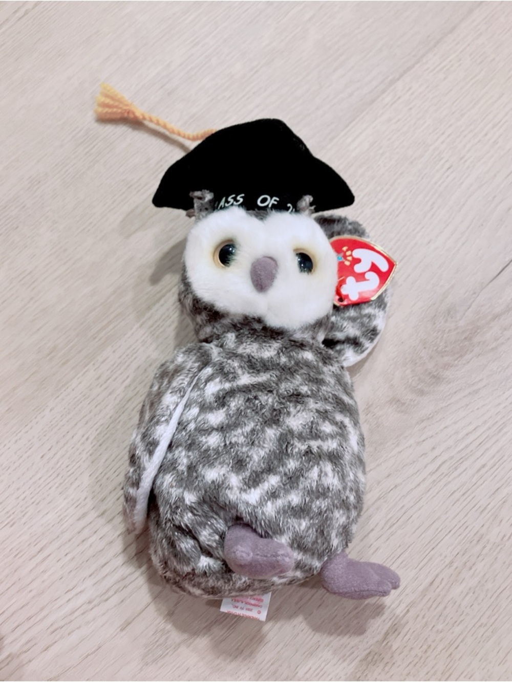 Beanie Baby Smart the Owl Class if 2001